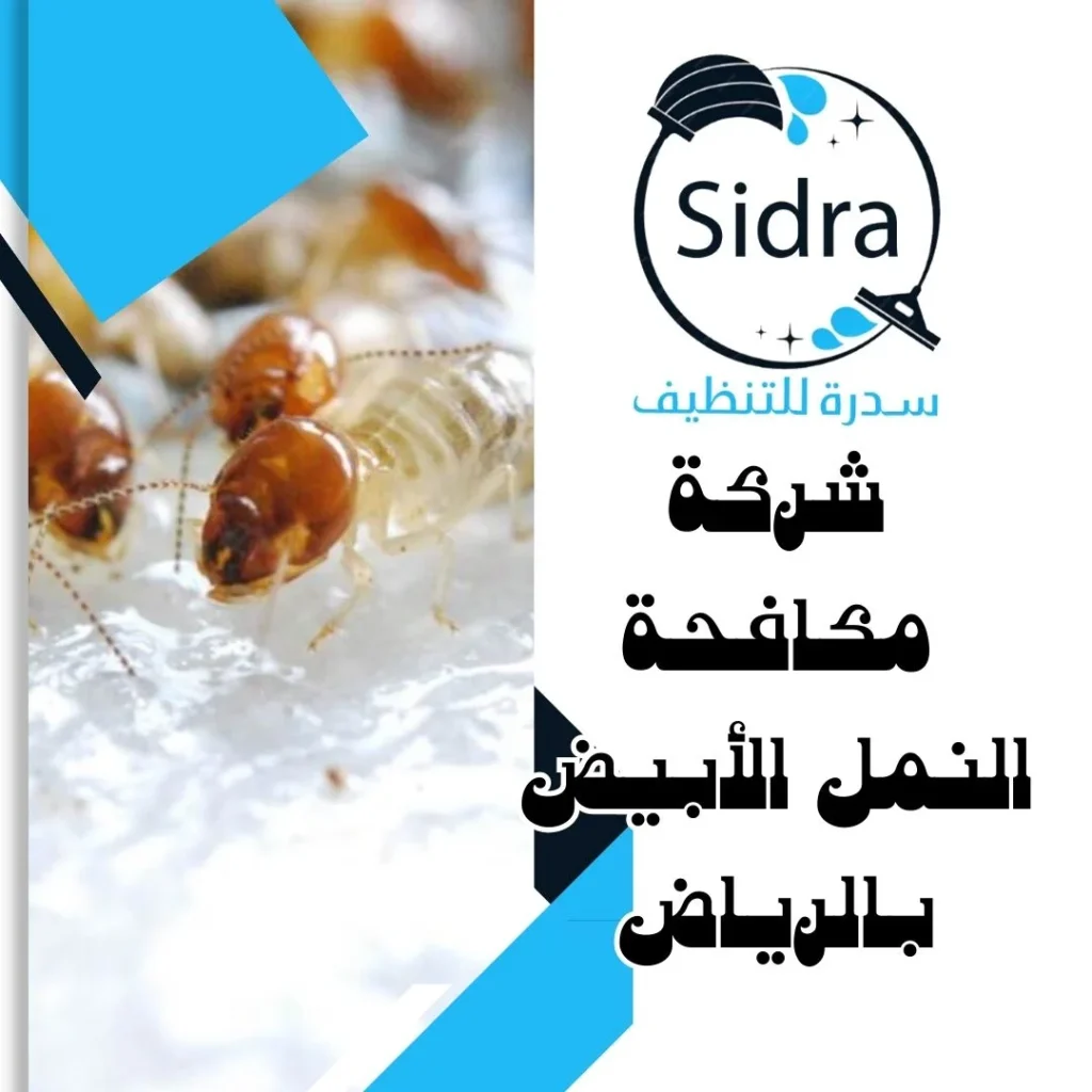 شركة مكافحة النمل الأبيض بالرياض