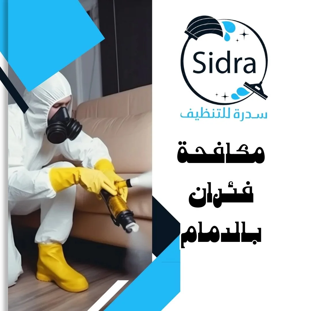 شركة مكافحة فئران بالدمام